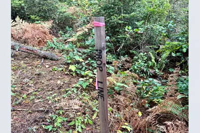 0 Hyak Place, Fox Island, WA 98333 - Photo 21