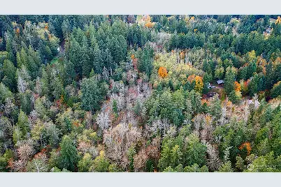 0 Hyak Place, Fox Island, WA 98333 - Photo 23