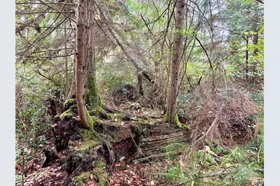 0 Hyak Place, Fox Island, WA 98333 - Photo 19