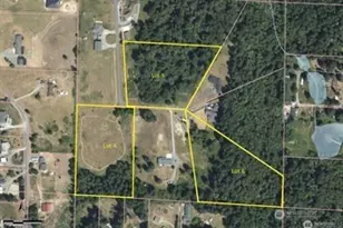 3028 342nd St Ct S, Roy, WA 98580 - Photo 1
