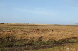 2621 Tokeland Rd, Tokeland, WA 98590 - Photo 33