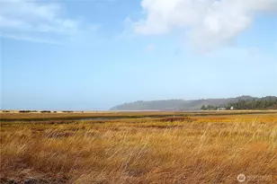 2621 Tokeland Rd, Tokeland, WA 98590 - Photo 27