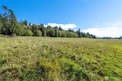 2383 W Shore Drive, Lummi Island, WA 98262 - Photo 21