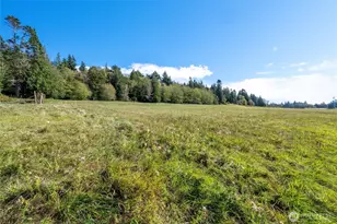 2383 W Shore Dr, Lummi Island, WA 98262 - Photo 21