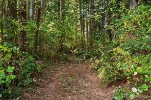 14728 58th Ave NW, Stanwood, WA 98292 - Photo 23