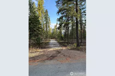 51 Aurthurs Blvd, Cusick, WA 99119 - Photo 5