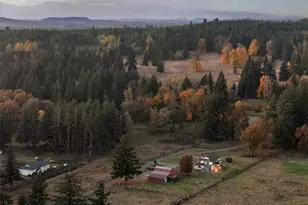 16840 Melville St SE, Tenino, WA 98589 - Photo 37