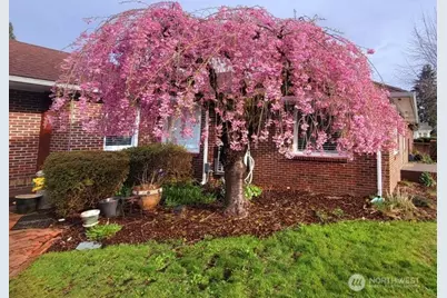 809 K St, Centralia, WA 98531 - Photo 35