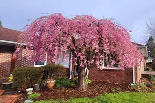 809 K St, Centralia, WA 98531 - Photo 35