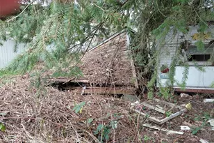 7468 Mill Ave, Concrete, WA 98237 - Photo 9