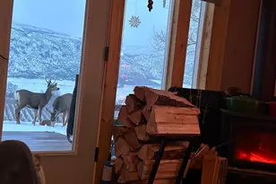 14 Bridgeview Rd, Tonasket, WA 98855 - Photo 13