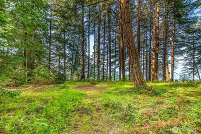 104 Barn Owl Trail, Orcas Island, WA 98245 - Photo 19