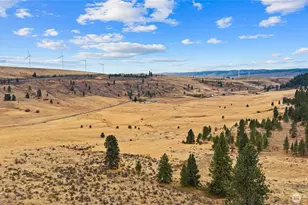 1371 Bettas Rd, Cle Elum, WA 98926 - Photo 35