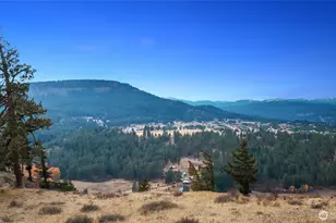 1371 Bettas Rd, Cle Elum, WA 98926 - Photo 39