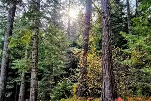 6299 Alder Ct, Wenatchee, WA 98801 - Photo 1