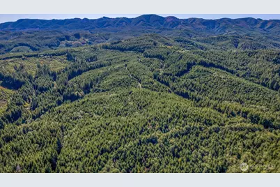 6 Parpala Road #6, Naselle, WA 98638 - Photo 11