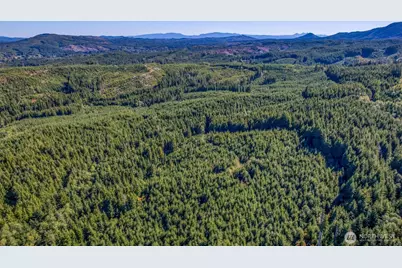 6 Parpala Road #6, Naselle, WA 98638 - Photo 13