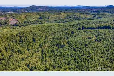 6 Parpala Road #6, Naselle, WA 98638 - Photo 3