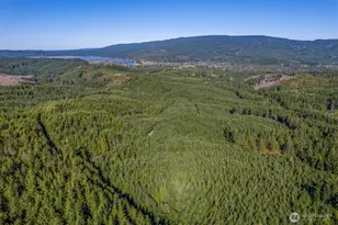 6 Parpala Rd, Naselle, WA 98638 - Photo 1