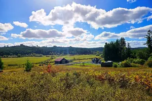 1604 Lincoln Creek Rd, Rochester, WA 98579 - Photo 37