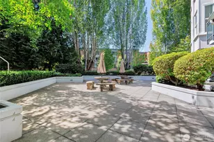 55 Williams Ave S, Renton, WA 98057 - Photo 17