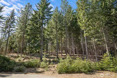 220 Tired Creek Lane, Cle Elum, WA 98922 - Photo 9