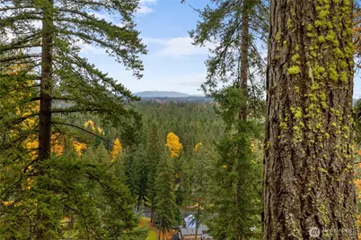 590 Oakmont Drive, Cle Elum, WA 98922 - Photo 3