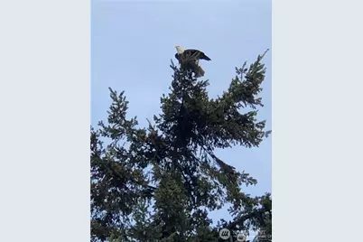 2828 Mission Beach Heights, Tulalip, WA 98271 - Photo 25