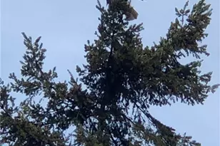 2828 Mission Beach Heights, Tulalip, WA 98271 - Photo 25