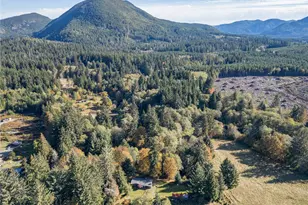 2095 Bear Creek Rd, Port Angeles, WA 98363 - Photo 31