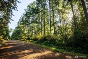 11324 Laurel Pl, Anderson Island, WA 98303 - Photo 1