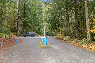 10500 Mt Baker Hwy, Glacier, WA 98244 - Photo 19