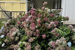 22048 159th Ave SE, Kent, WA 98042 - Photo 5