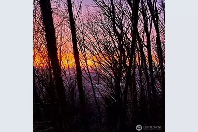 1311 12th Avenue S #C104, Seattle, WA 98144 - Photo 31