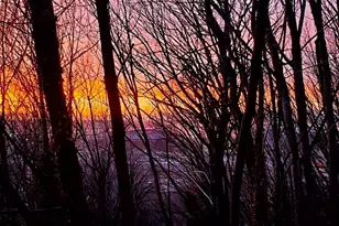 1311 12th Ave S, Seattle, WA 98144 - Photo 31