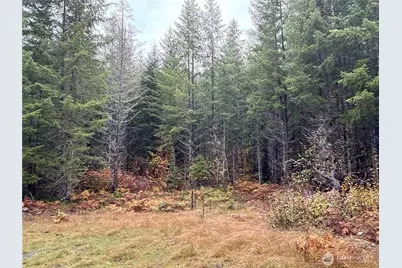 4 Xx Forest Road 52, Packwood, WA 99338 - Photo 1