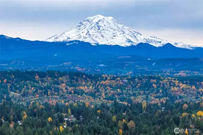 20414 119th Street E, Bonney Lake, WA 98391 - Photo 39