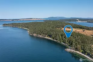 30 Smugglers Rowe, Henry Island, WA 98250 - Photo 9