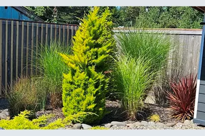 315 N Forrest, Westport, WA 98595 - Photo 31