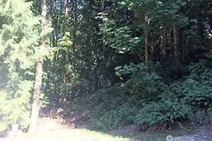 1277 Sherman Ave, Port Orchard, WA 98366 - Photo 15