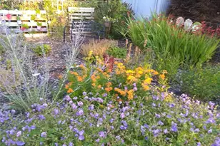 1121 244th Street SW, Bothell, WA 98021 - Photo 21