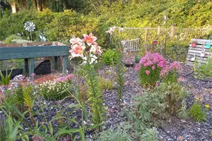 1121 244th Street SW, Bothell, WA 98021 - Photo 7