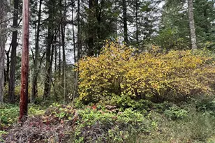 10824 Madrona Dr, Anderson Island, WA 98303 - Photo 3