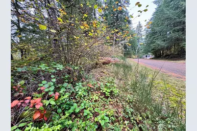 10824 Madrona Drive, Anderson Island, WA 98303 - Photo 7