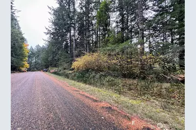 10824 Madrona Drive, Anderson Island, WA 98303 - Photo 5