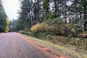 10824 Madrona Dr, Anderson Island, WA 98303 - Photo 5