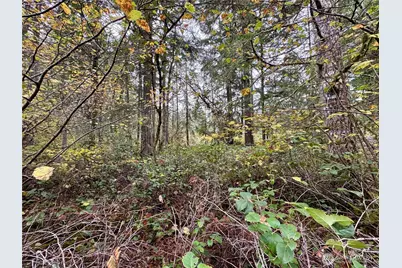 10824 Madrona Drive, Anderson Island, WA 98303 - Photo 1