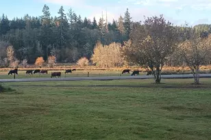 397 Bunker and 0 Bunker Rd, Chehalis, WA 98532 - Photo 11