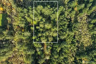 0 147th Pl, Long Beach, WA 98631 - Photo 1