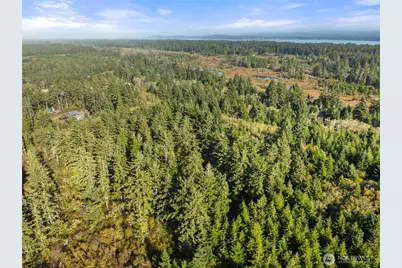 0 147th Street, Long Beach, WA 98631 - Photo 3